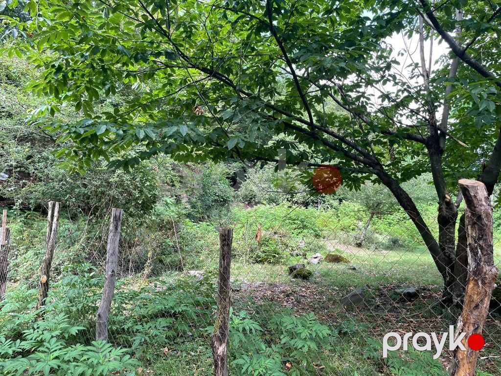 11 sot, Tikinti, Mülkiyyətçi, Kupça (Çıxarış) — Torpaq, Bakı (7)