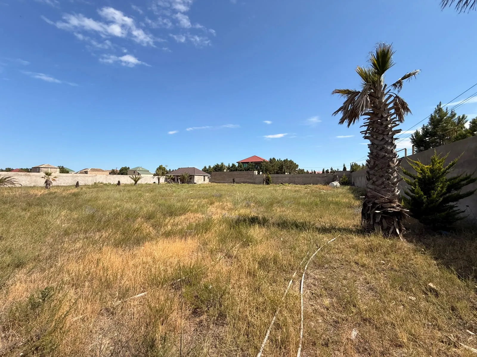 Şüvəlan, Torpaq satılır - 50 sot — Torpaq, Bakı (3)