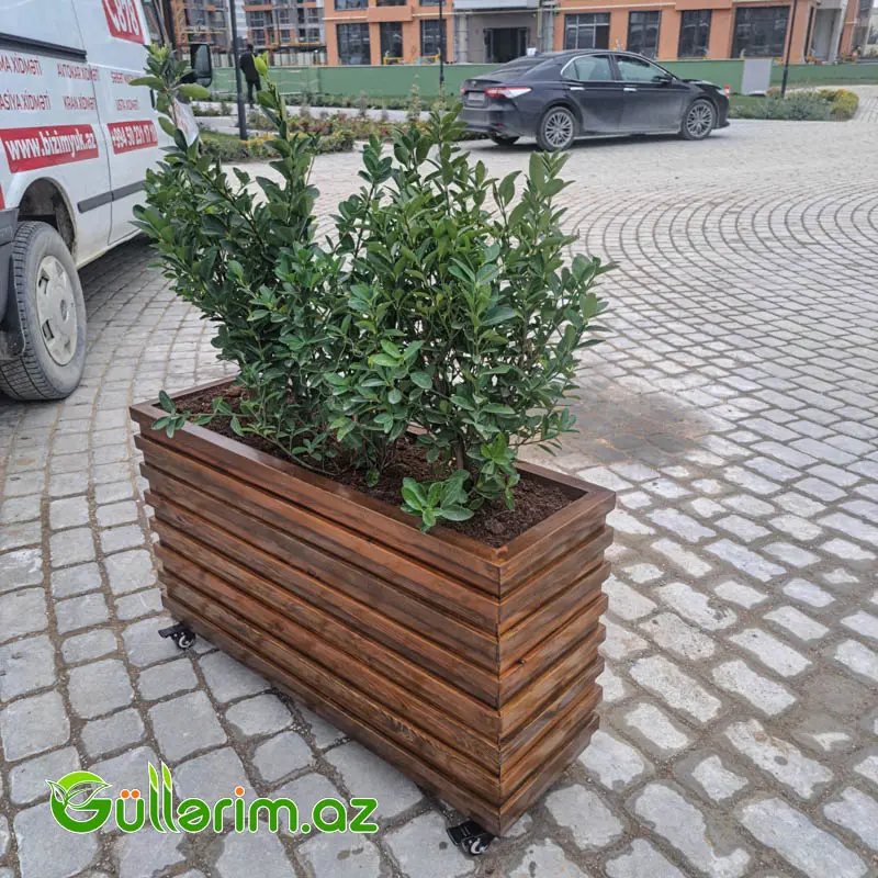 Taxta dibçək (Əl işi) 062 — Garden decor