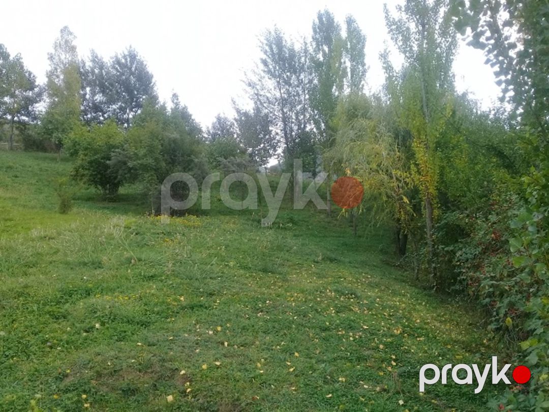 Satılır torpaq 16 sot — Torpaq, İsmayıllı (2)
