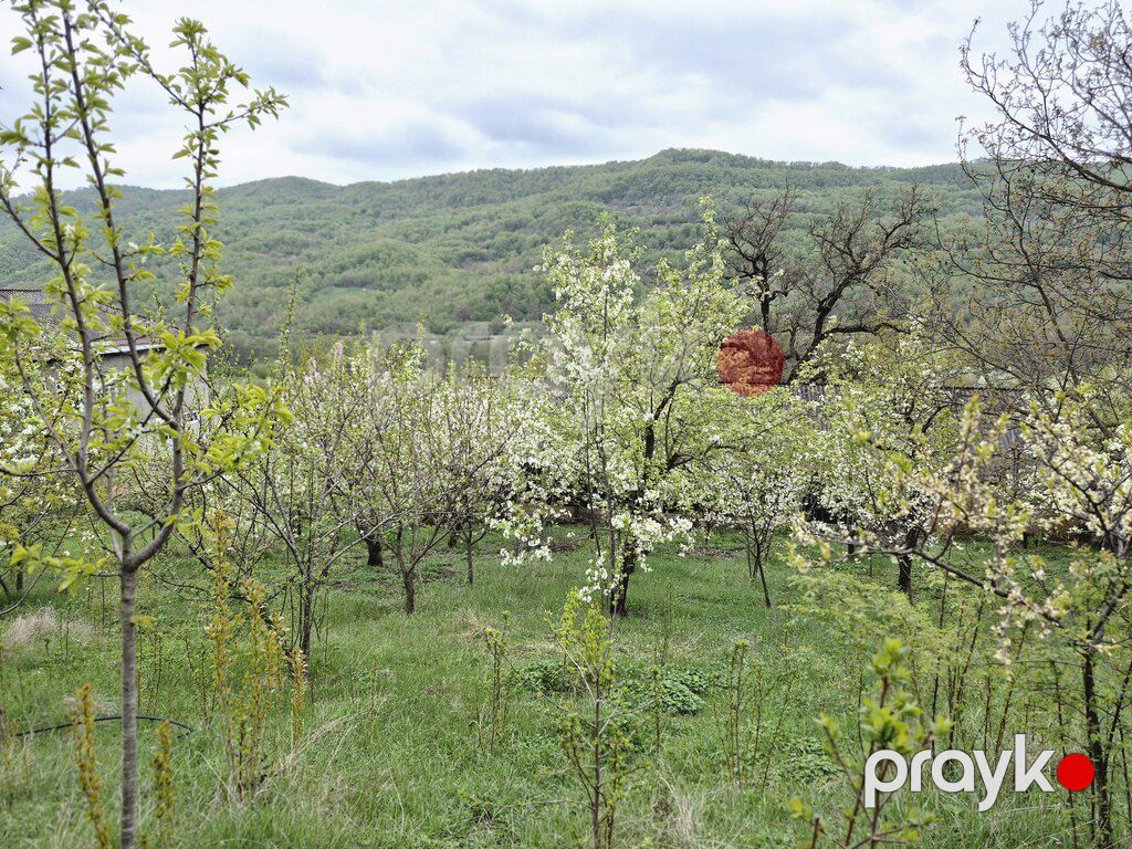 25 sot torpaq sahəsi, Quba r — Torpaq, Quba (8)