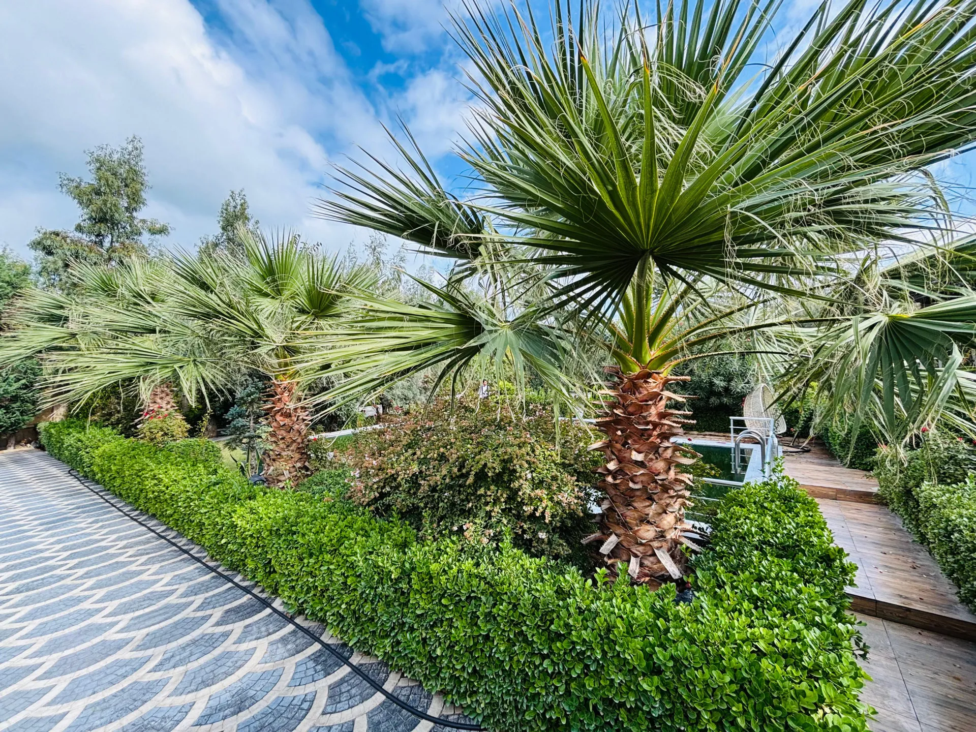 Nardaran, 5 otaqlı Villa satılır - 320 m², 2 mərtəbə, 21 sot — Ev, villa, Bakı (4)