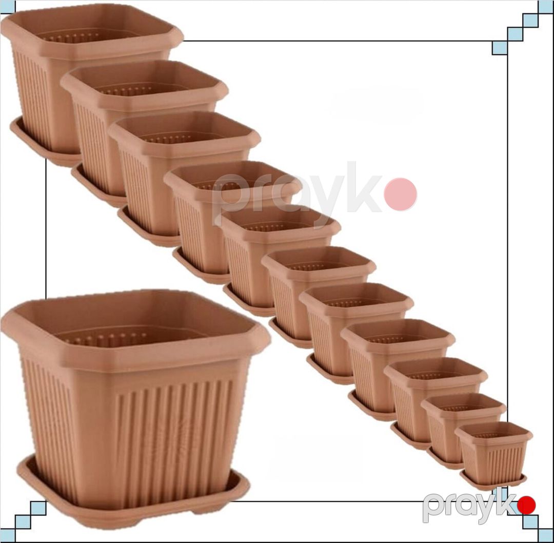 Dibçək — Bitkilər, Bakı (2)