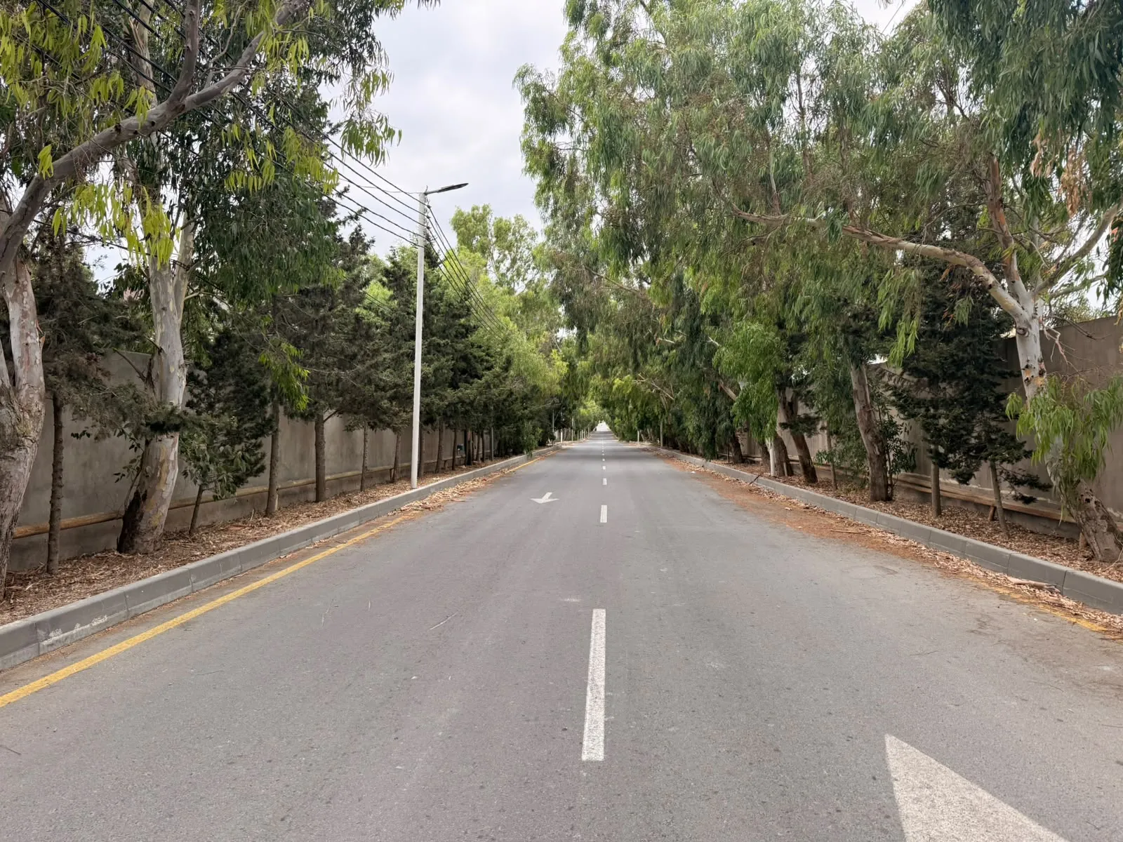 Xəzər r., Torpaq satılır - 12 sot — Bakı