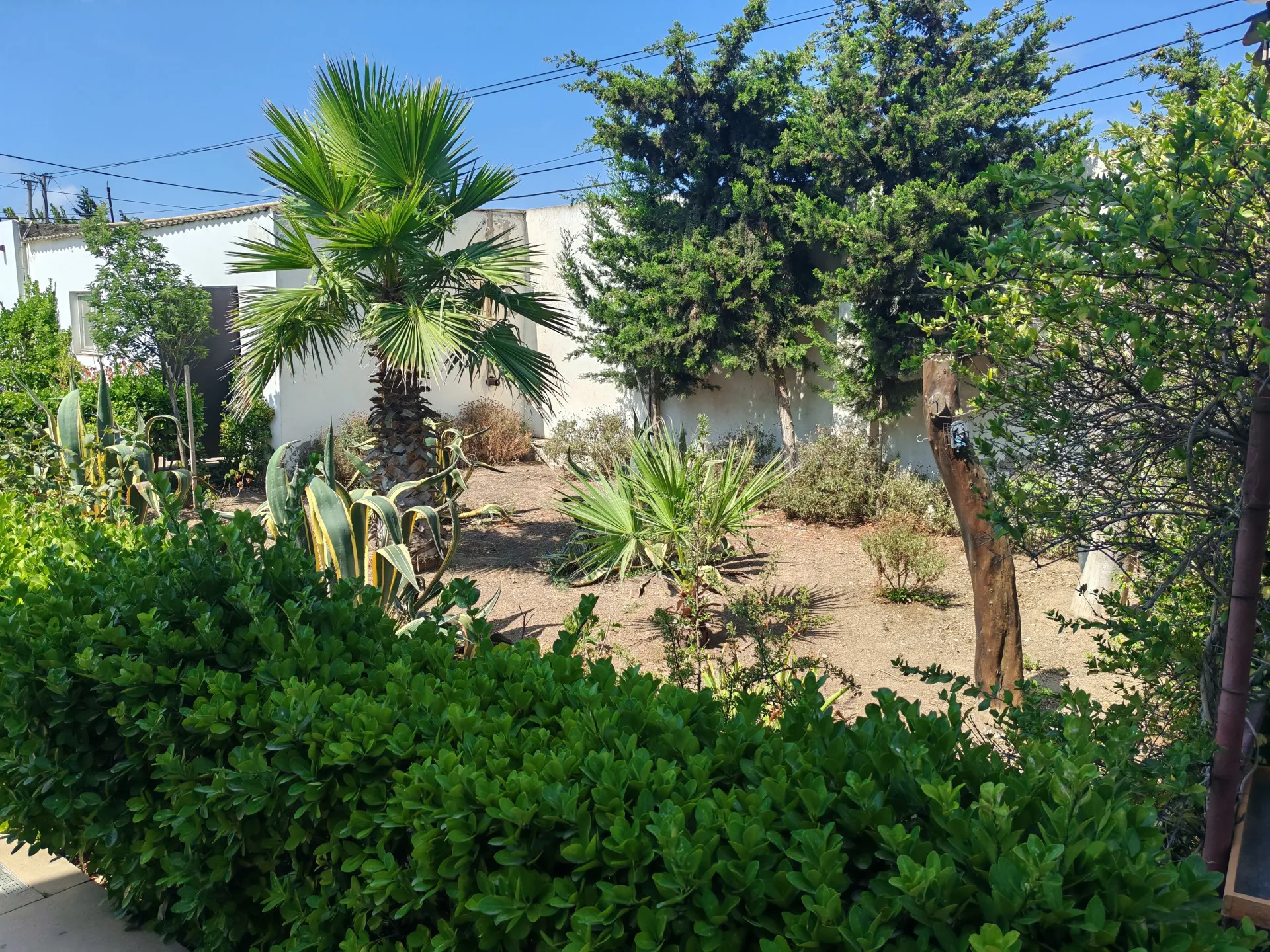Şüvəlan, 4 otaqlı Həyət evi satılır - 166 m², 2 mərtəbə, 18 sot — Ev, villa, Bakı (7)