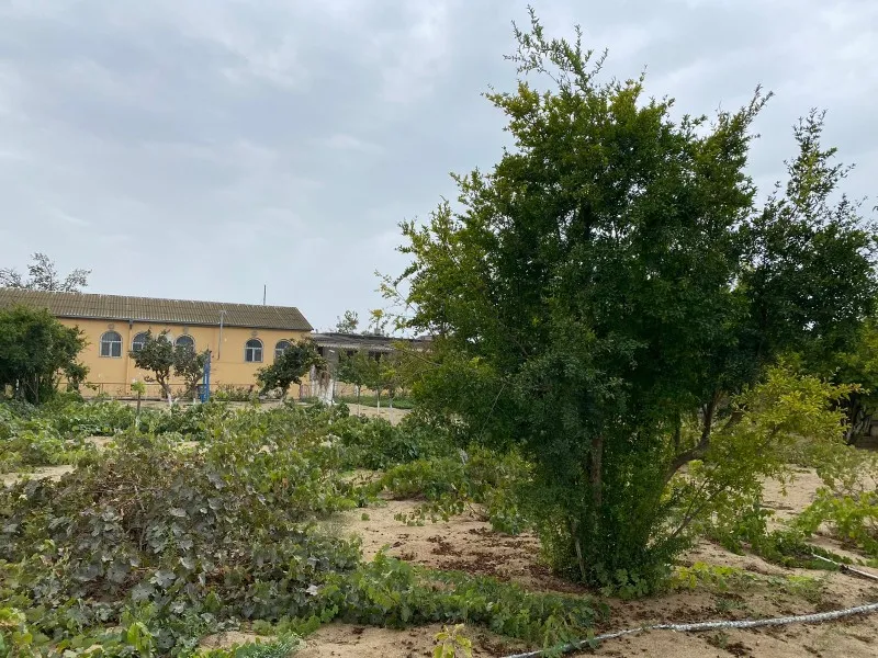 Mərdəkan, Torpaq satılır - 24 sot — Torpaq, Bakı (5)