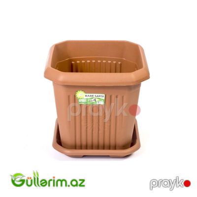Plastik Dibçək 013 — Bağ dekorasiyası, Bakı (2)