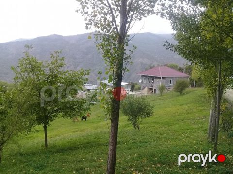 Satılır torpaq 16 sot — İsmayıllı