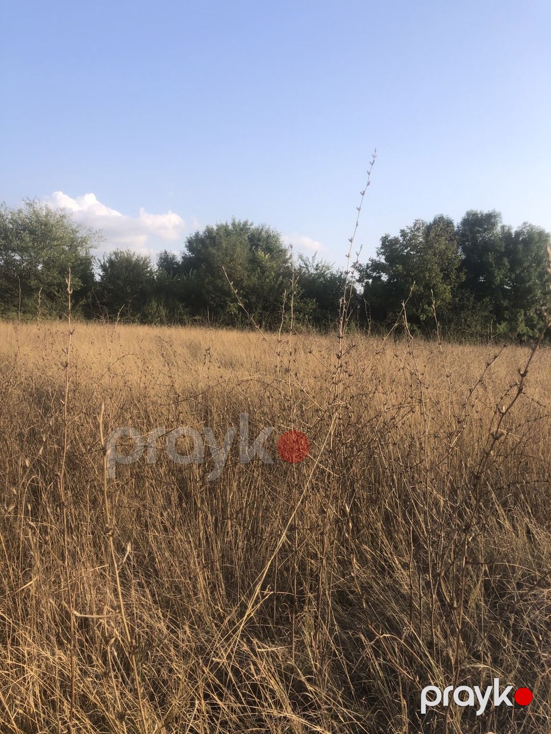 Satılır torpaq 50 sot — Torpaq, Qəbələ (4)