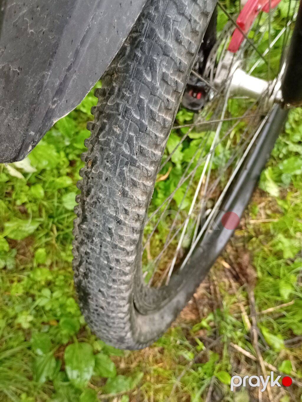 İşlənmiş Şəhər velosipedi Velocruz, 29", sürətlərin sayı: 7 — Yol velosipedləri, Quba (4)