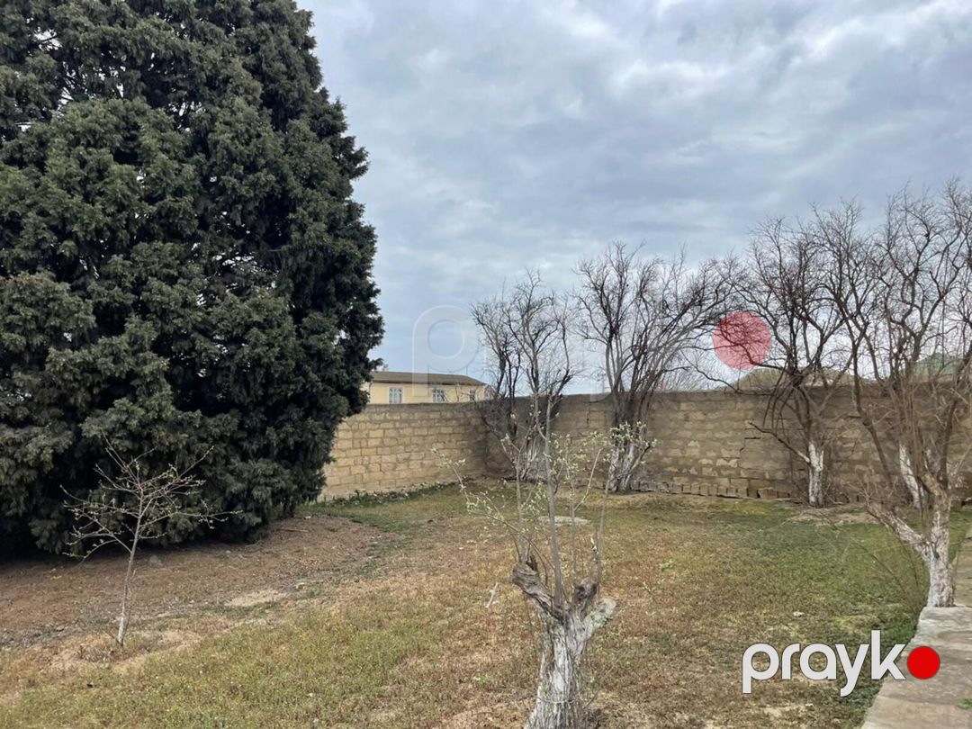 Satılır torpaq 8 sot — Torpaq, Bakı (5)
