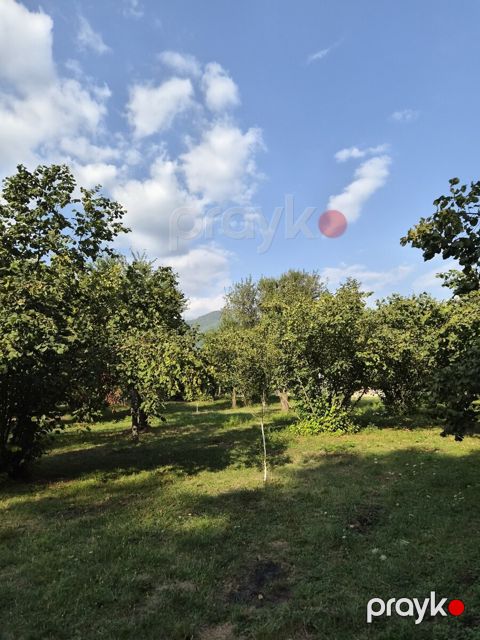 45 sot torpaq sahəsi, Qəbələ r — Qəbələ