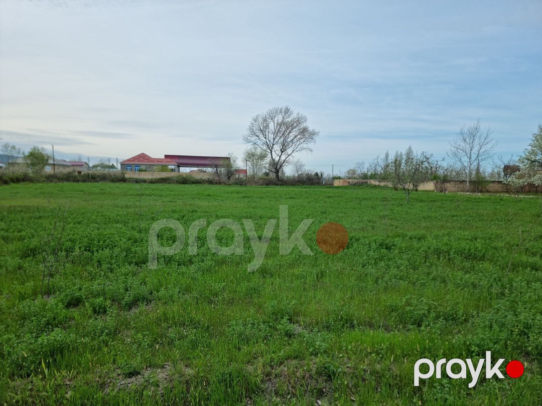 30 sot torpaq sahəsi, Şabran r — Torpaq, Şabran (8)