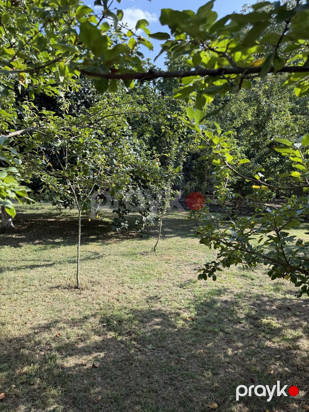 Satılır torpaq 8 sot — Torpaq, İsmayıllı (7)
