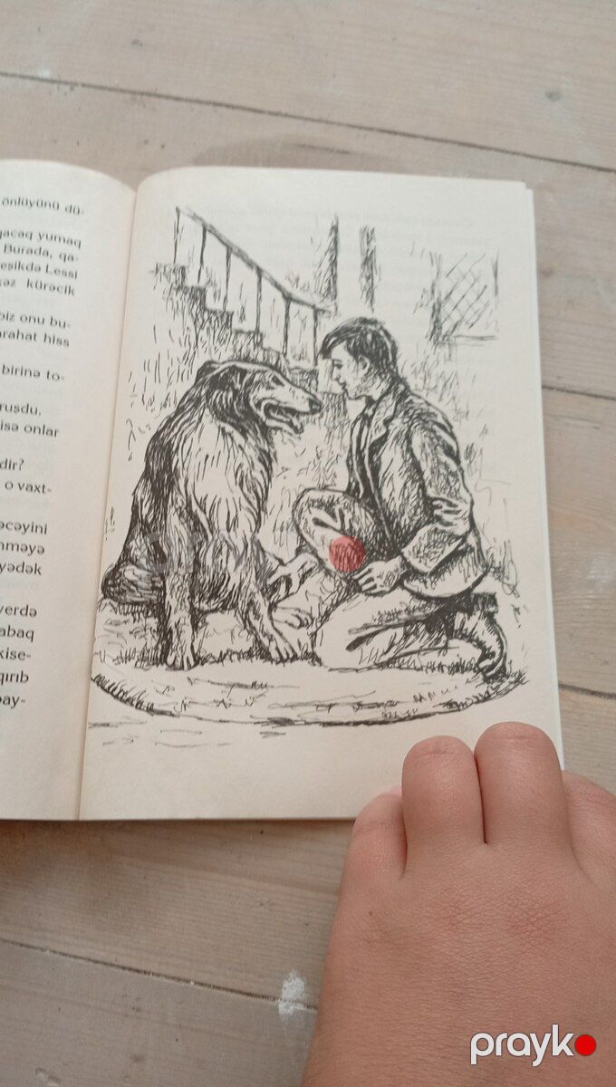 Kitab Lessi — Kitablar və jurnallar, Bakı (5)