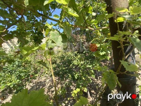 2 sot, Kupça (Çıxarış) — Masazır