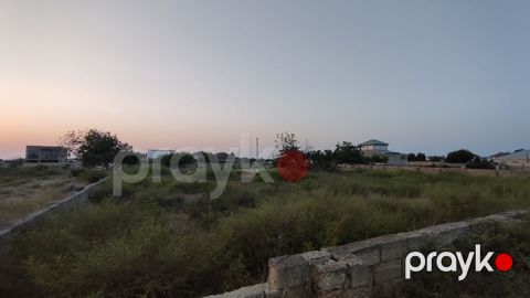 9 sot, Kupça (Çıxarış) — Digah