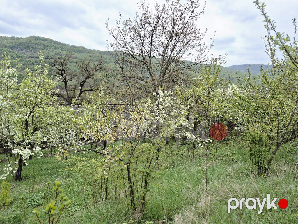 25 sot torpaq sahəsi, Quba r — Torpaq, Quba (9)