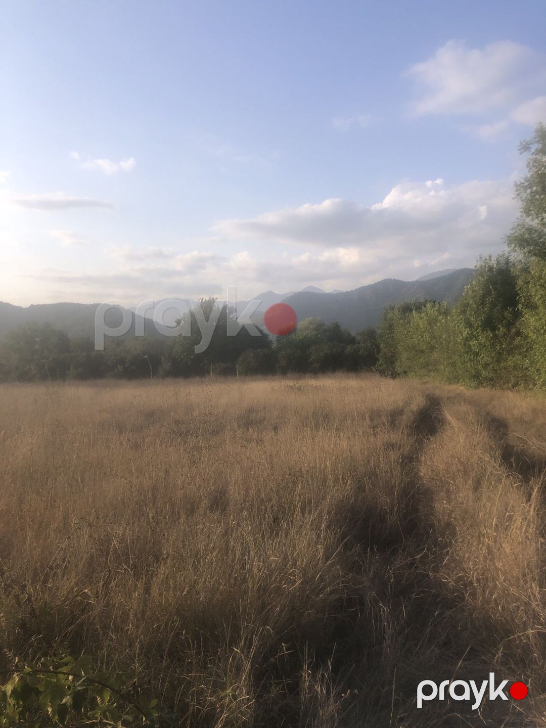 Satılır torpaq 50 sot — Torpaq, Qəbələ (3)
