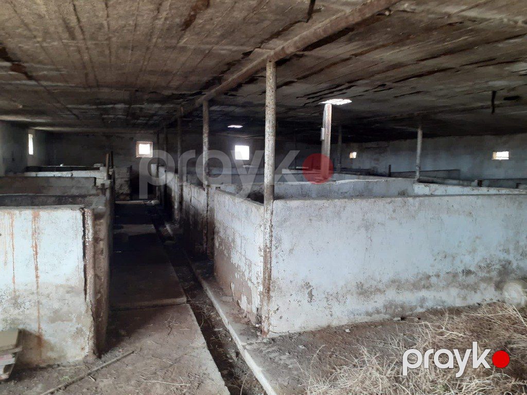 Satılır torpaq 200 sot — Torpaq, Bakı (10)
