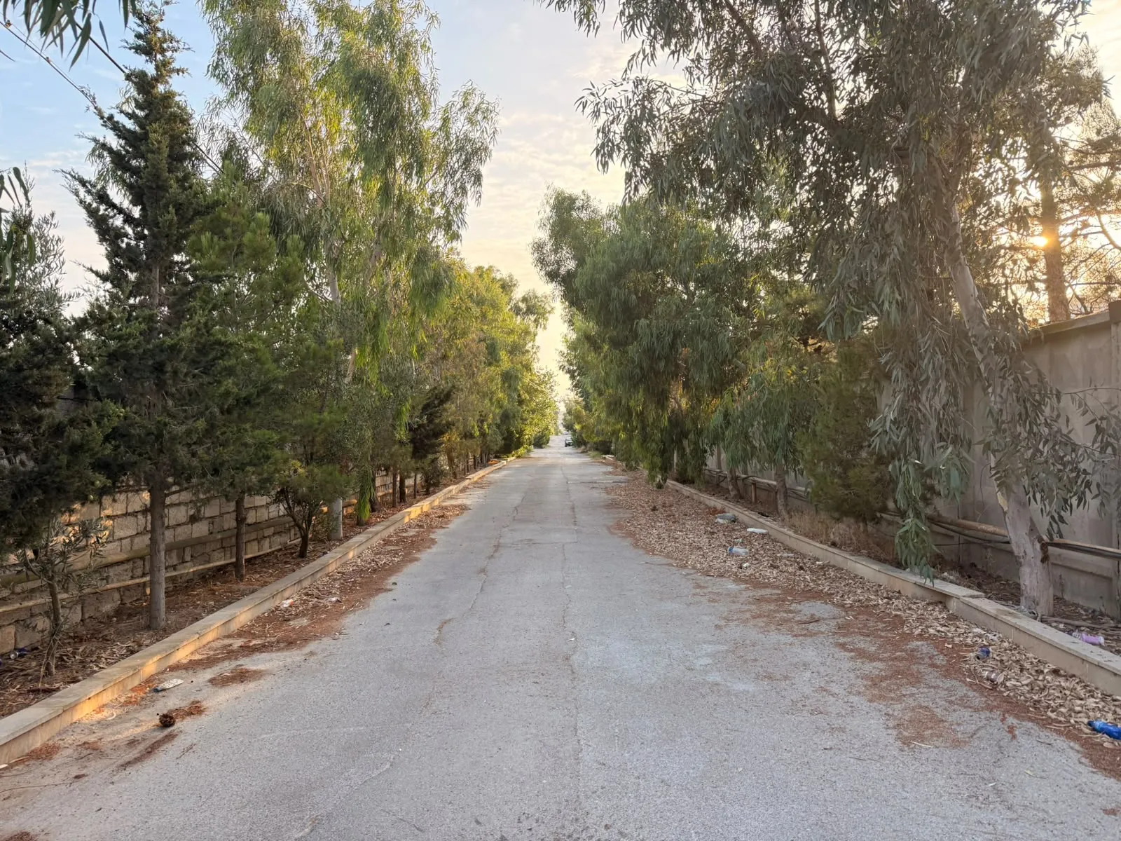 Şüvəlan, Torpaq satılır - 14.5 sot — Torpaq, Bakı (10)