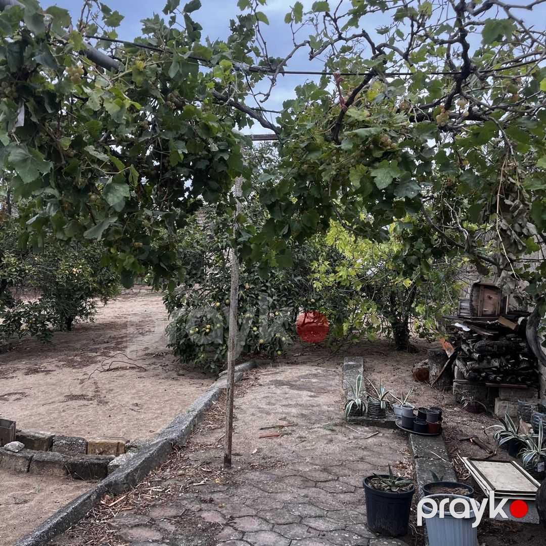 Satılır 5 otaqlı həyət evi/bağ evi 150 m² — Ev, villa, Bakı (5)