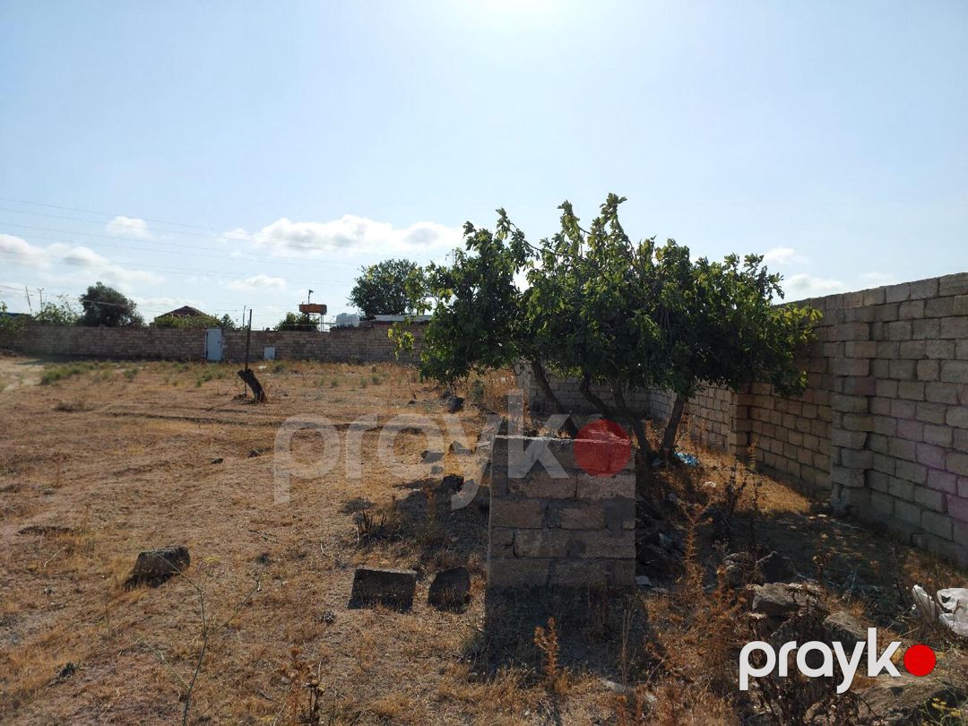 Satılır torpaq 12 sot — Torpaq, Bakı (2)