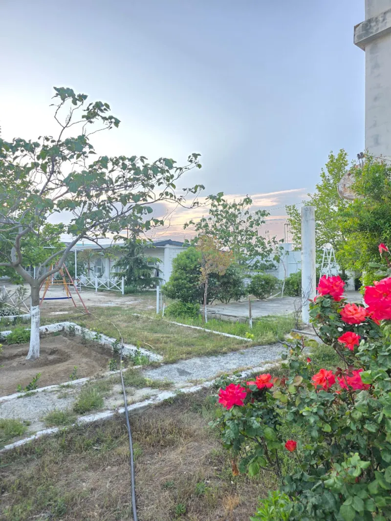 Türkan, Kommersiya obyekti satılır - 1500 m², 30 sot — Əmlak, Bakı (10)