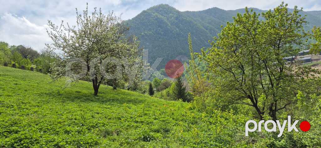 Satılır torpaq 45 sot — Torpaq, Quba (2)