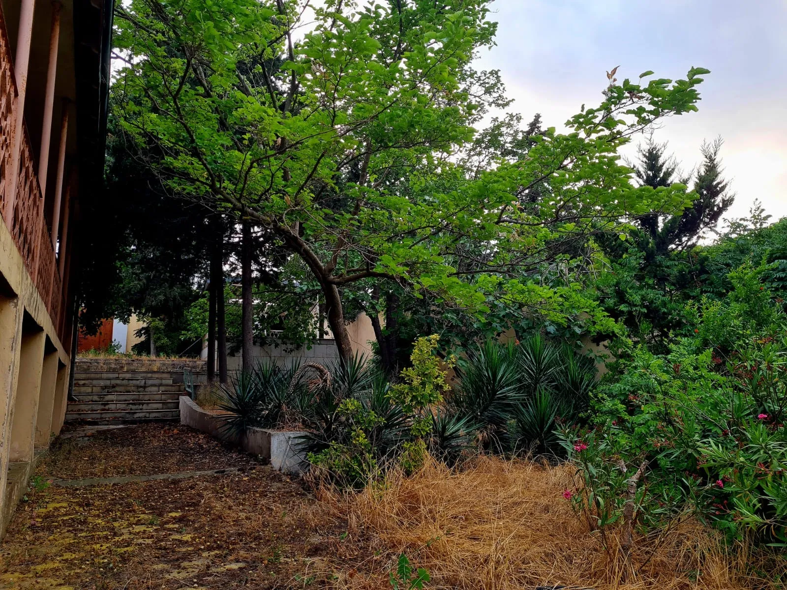 Bilgəh, 3 otaqlı Həyət evi satılır - 180 m², 1 mərtəbə, 23 sot — Ev, villa, Bakı (10)
