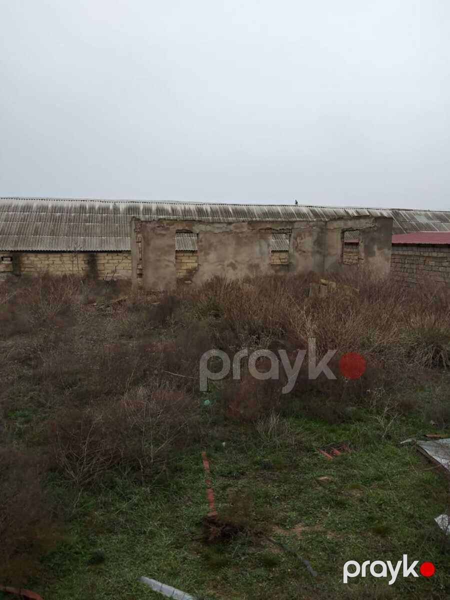 Satılır torpaq 9 sot — Torpaq, Bakı (2)