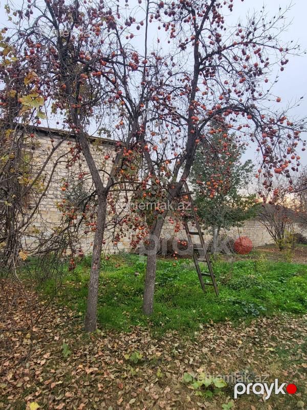 Satılır 3 otaqlı Həyət evi / Villa, 78 m², Bərdə — Ev, villa, Bərdə (4)