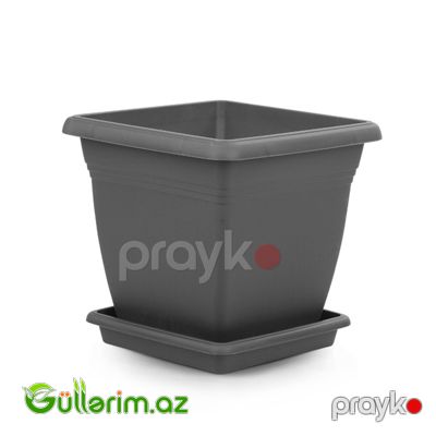 Plastik Dibçək 011 — Bağ dekorasiyası, Bakı (3)