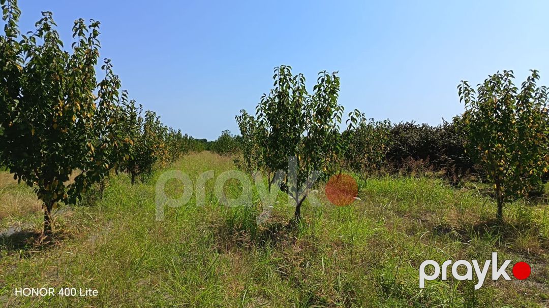 100 sot torpaq sahəsi, Xaçmaz r — Torpaq, Xaçmaz (2)