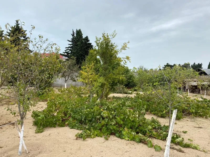 Mərdəkan, Torpaq satılır - 24 sot — Torpaq, Bakı (3)
