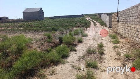 2 sot, Tikinti, Mülkiyyətçi — Digah
