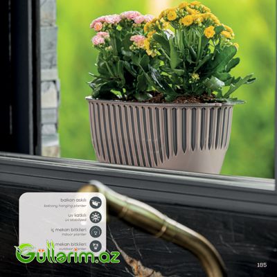 Balkon dibçəyi — Garden decor