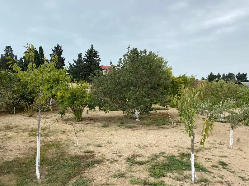 Mərdəkan, Torpaq satılır - 24 sot — Torpaq, Bakı (9)