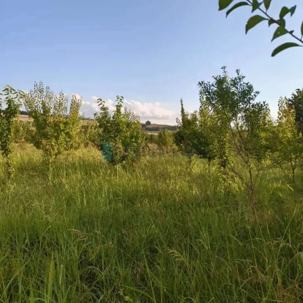 Satılır: Torpaq, 200.00 m² — Torpaq, İsmayıllı (3)