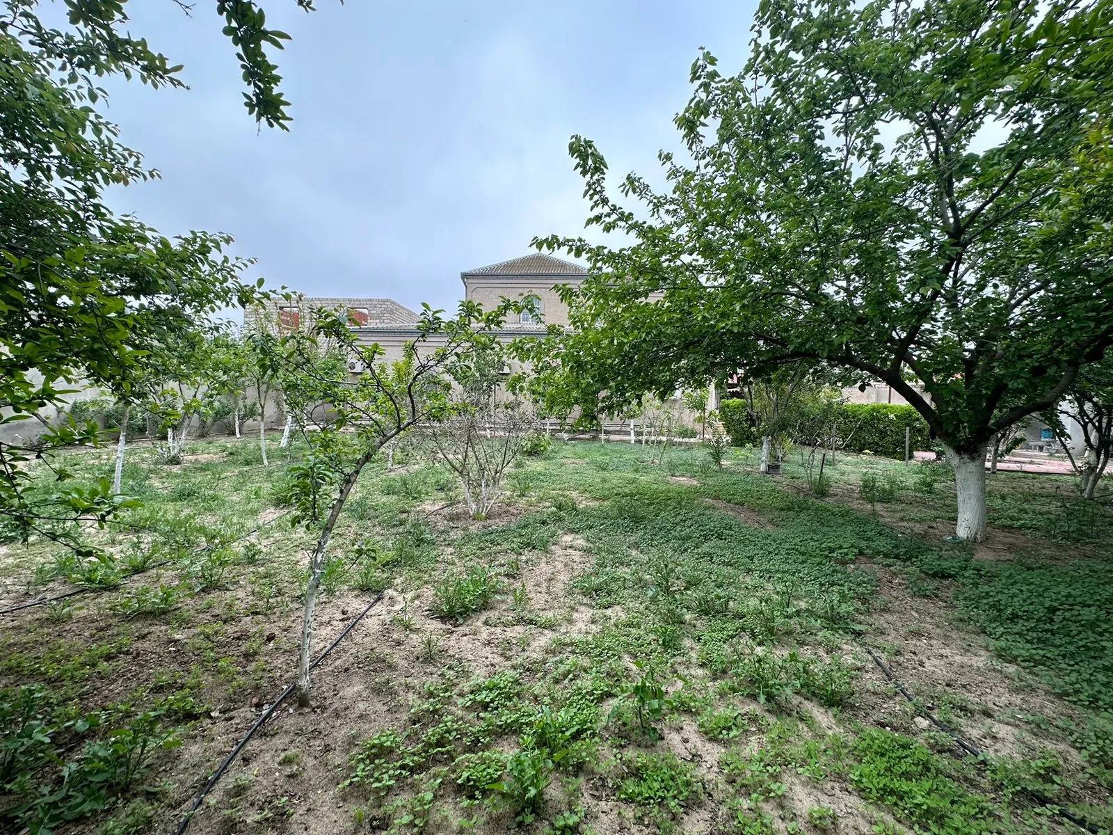 Şağan, Torpaq satılır - 7 sot — Torpaq, Bakı (3)