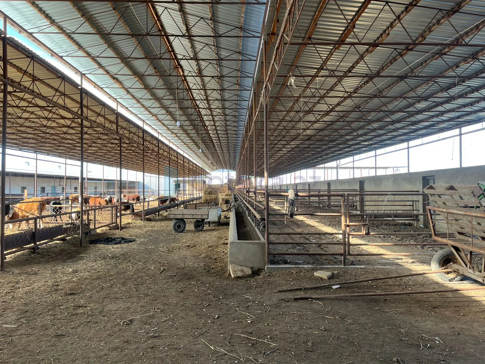 Satılır: Torpaq, 30.00 hektar — Torpaq, Şirvan (4)