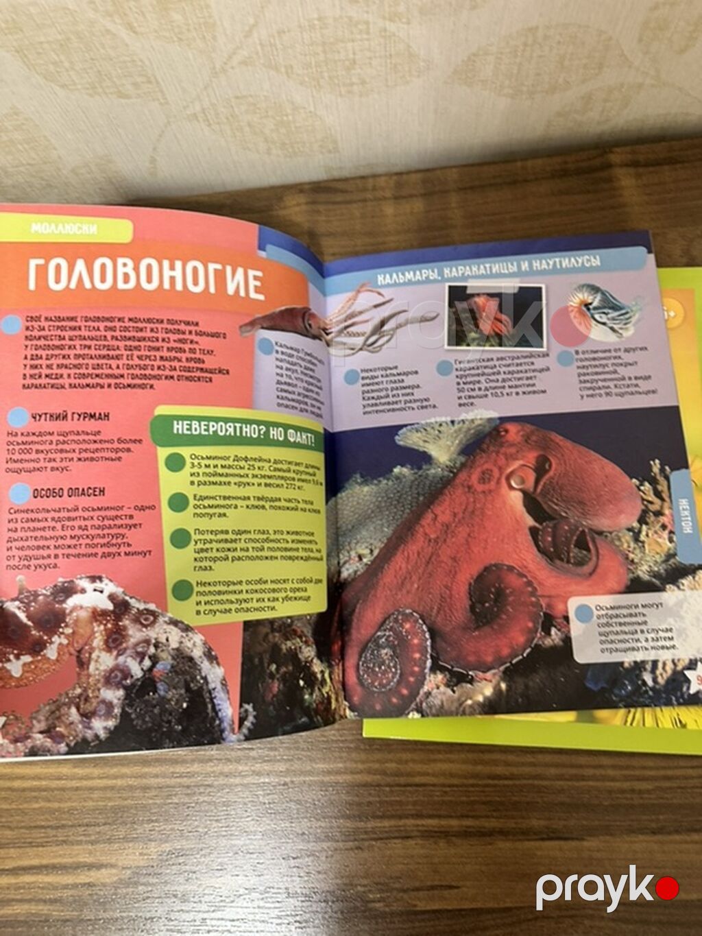 Üç enseklopediya Təzədirlər + 3 kitab Haməsına 20 man Qiymət — Kitablar, Bakı (3)