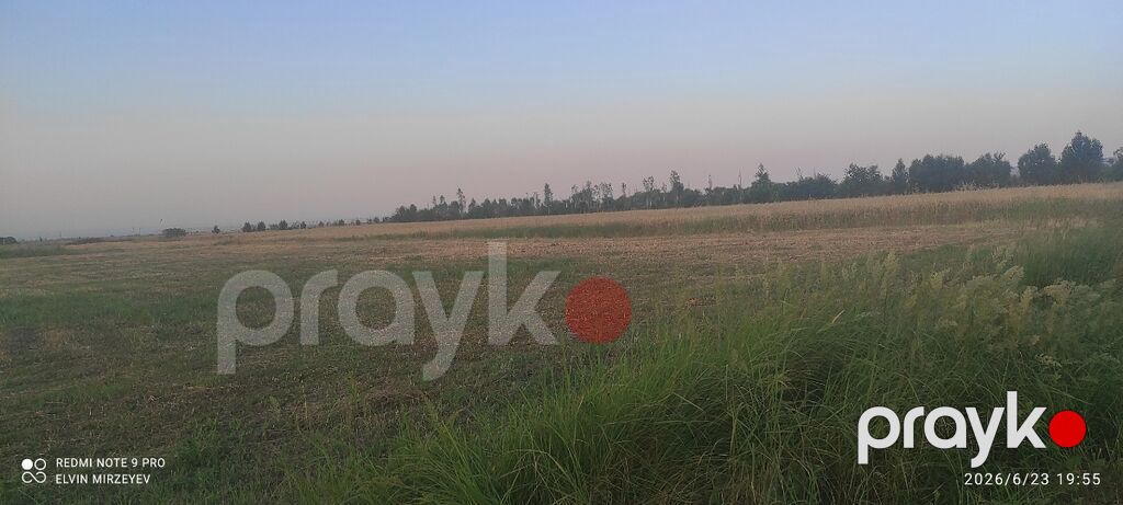 93 sot, Kənd təsərrüfatı, Mülkiyyətçi, Kupça (Çıxarış) — Torpaq, Quba (3)