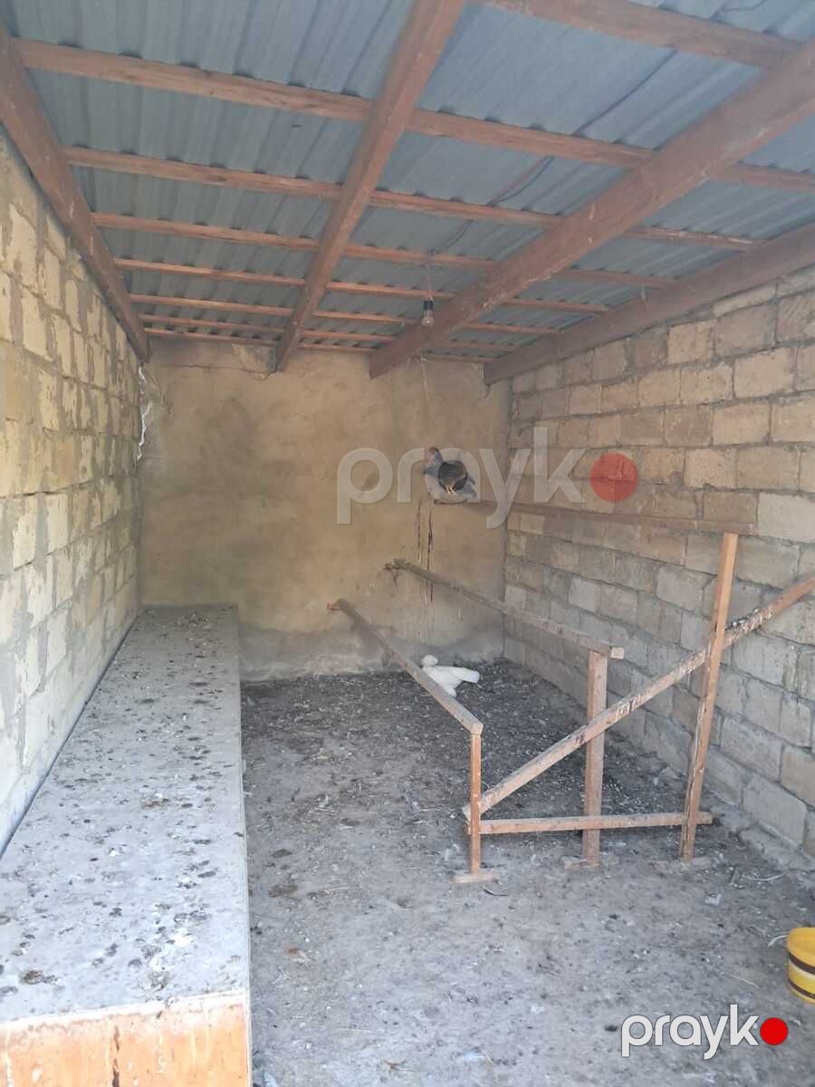 İcarəyə verilir obyekt 60 m² — Əmlak, Bakı (3)