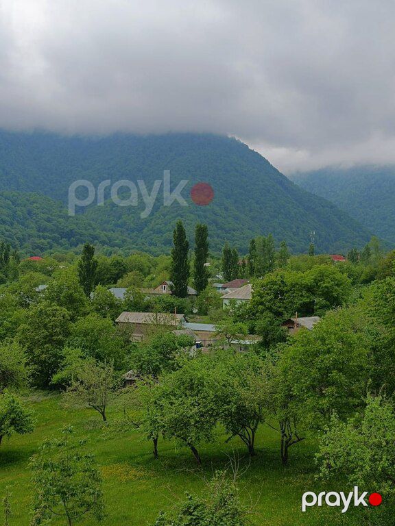 Villa kirayə verilir, Qəbələ ş — Ev, villa, Qəbələ (5)