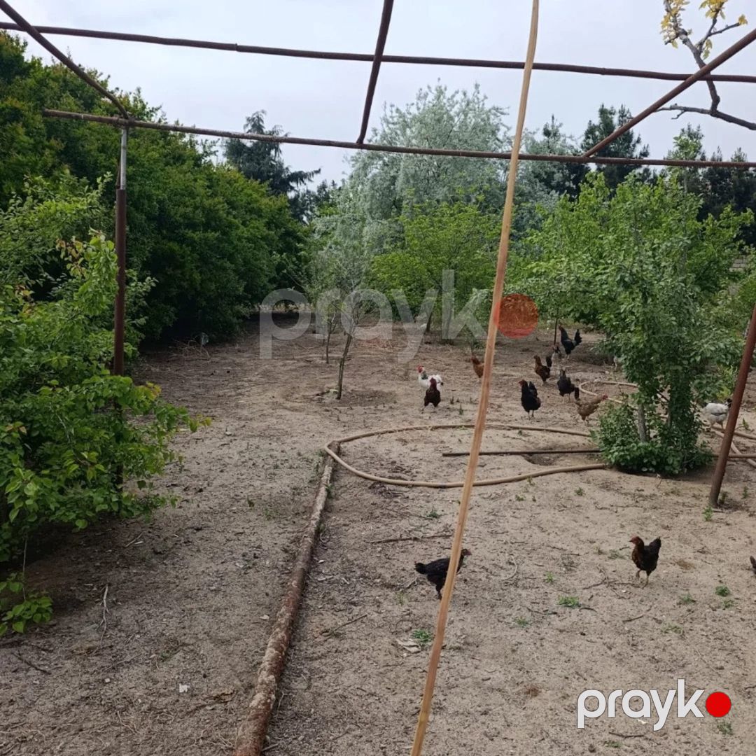 Satılır torpaq 8.6 sot — Torpaq, Bakı (2)