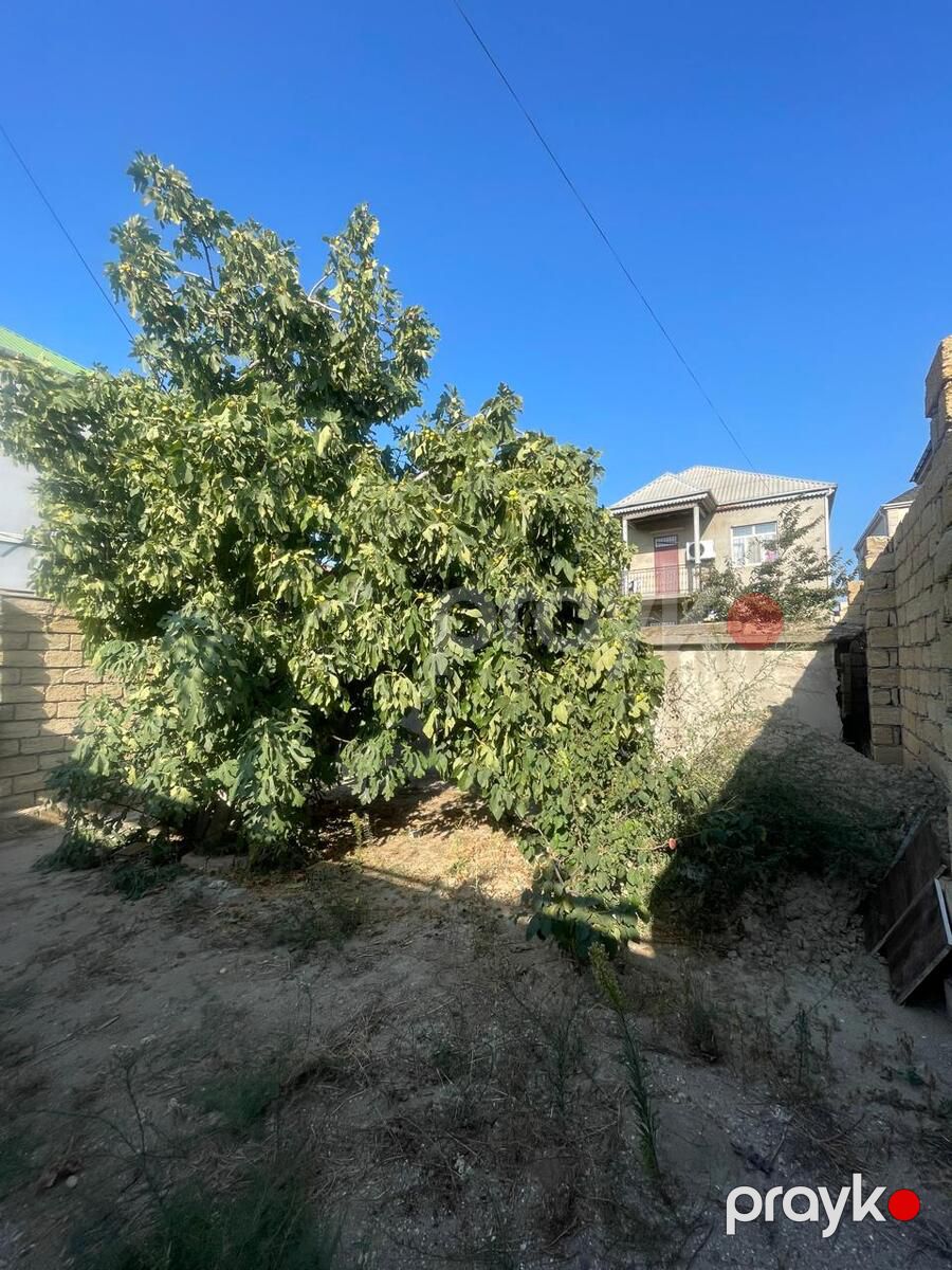 Həyət evi, Corat qəs — Ev, villa, Sumqayıt (6)