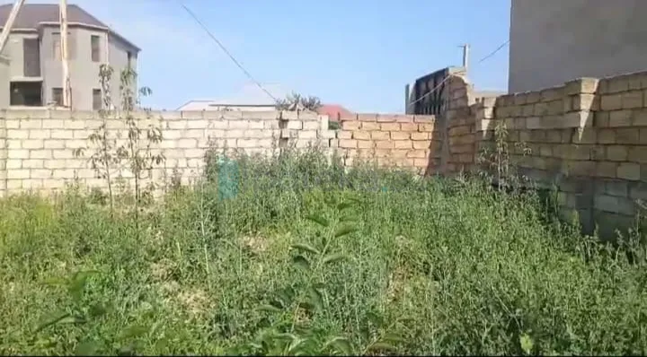 Satılır: Torpaq, Abşeron r., Saray q., 2.00 sot — Torpaq, Abşeron (2)