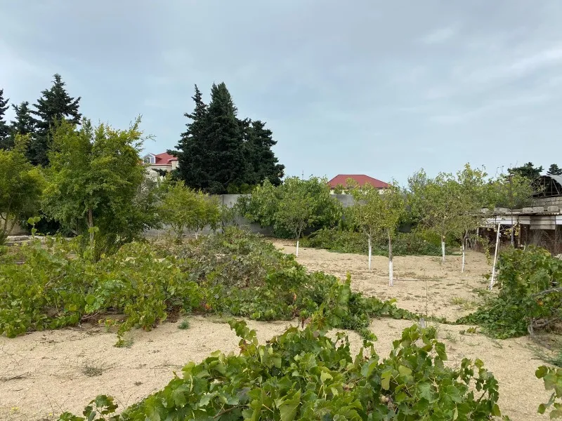 Mərdəkan, Torpaq satılır - 24 sot — Torpaq, Bakı (2)