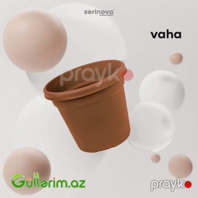 Plastik Dibçək 014 — Bağ dekorasiyası, Bakı (8)